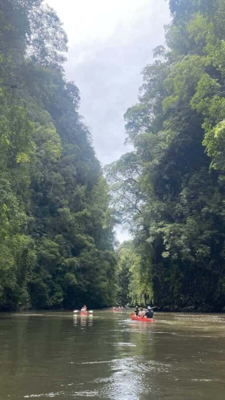 Krabi: Ao Thalane Mangrove Kayaking Tour with Pickup - Who Would Love This Tour?