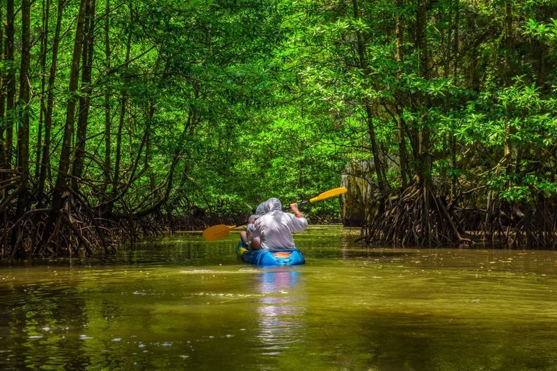 Krabi Ao Thalane One-Day ATV & Kayaking Tour - Heat, dust, mud, and what to bring