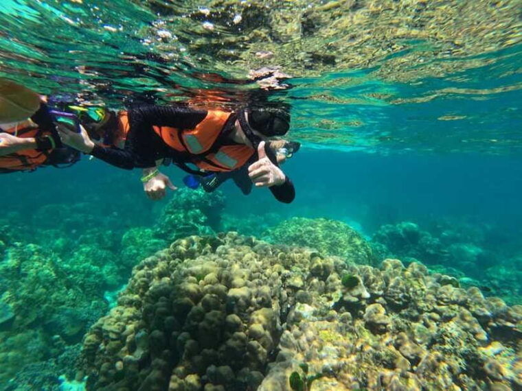 Krabi Aonang: Koh Rok & Koh Haa Snorkelling Day Trip + Lunch - Recommendations