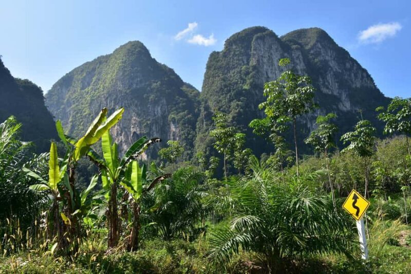 Krabi: ATV Jungle Bash & Kayak Odyssey in Din Daeng Mangrove - Who Will Love This Tour?
