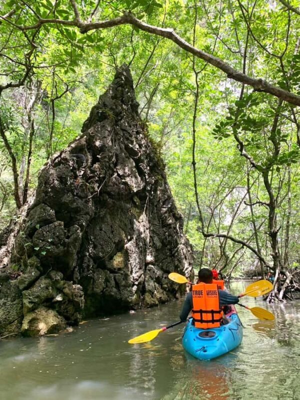 Krabi: ATV Jungle Bash & Kayak Odyssey in Din Daeng Mangrove - Final Thoughts