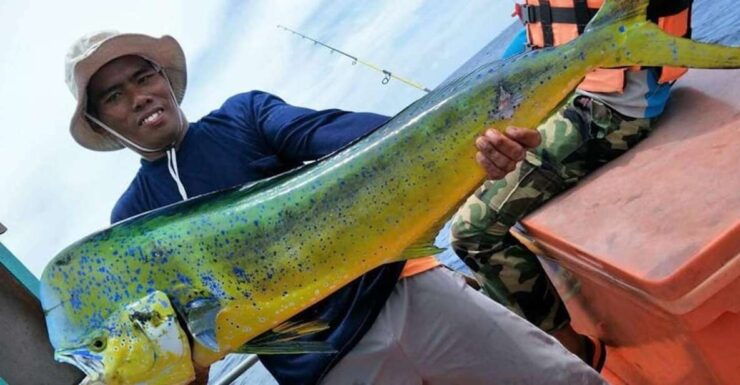 Krabi: Big Game Fishing and Snorkelling at Four Islands - Activity Details and Booking Information