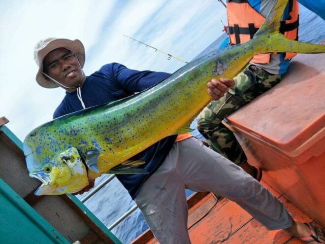 Krabi: Big Game Fishing and Snorkelling at Four Islands - Activity Duration and Starting Time Availability