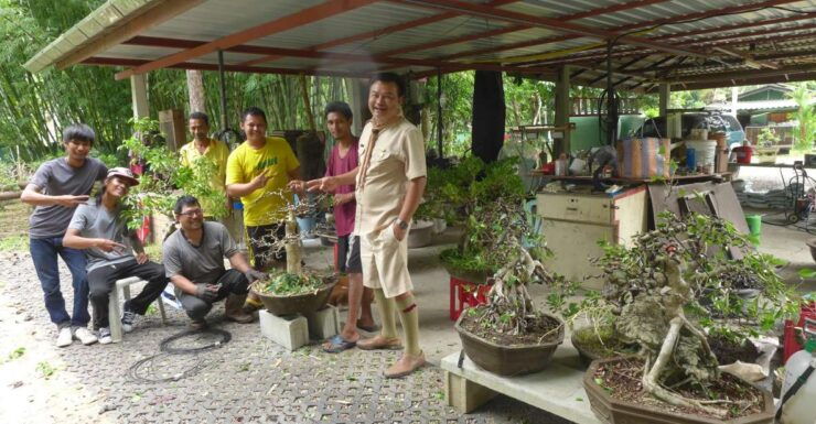 Krabi Bonsai Garden. - Booking Details