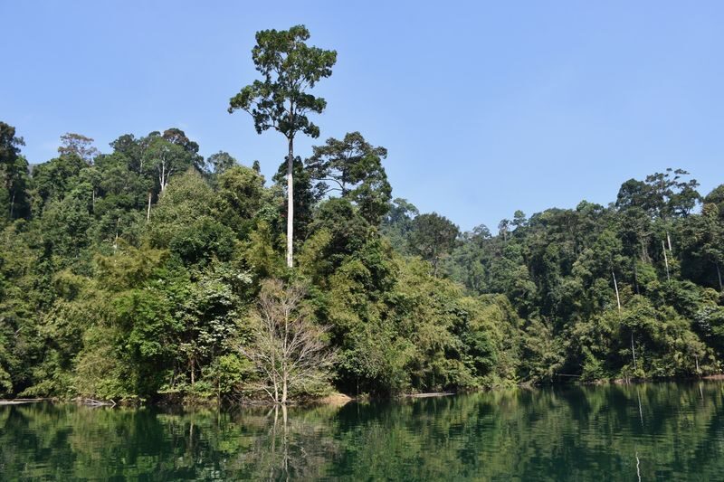 Krabi Cheow Lan Lake Full-Day Sightseeing Tour - What the price buys, and what it does not