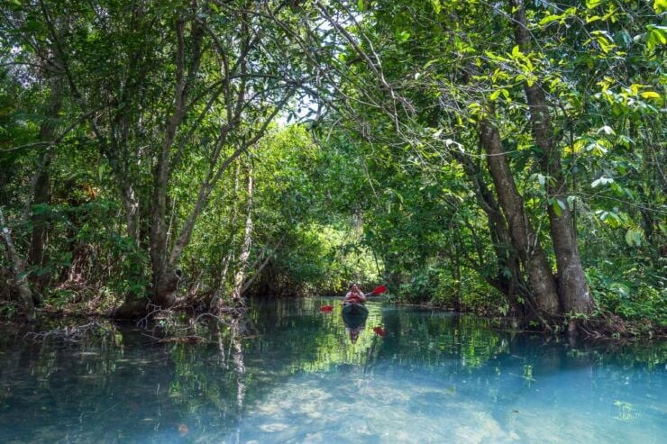 Krabi: Crystal Lagoon Kayaking and Horseback Riding Day Trip - Experience Highlights