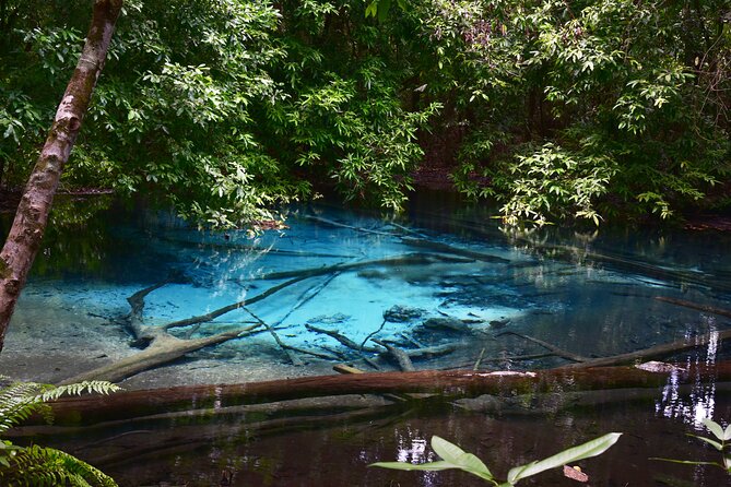Krabi Day Tour (Private Group Tour) - Itinerary Overview