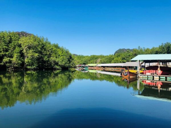 Krabi: Discover Krabis Natural Beauty With Kayaking Tour - Customer Reviews