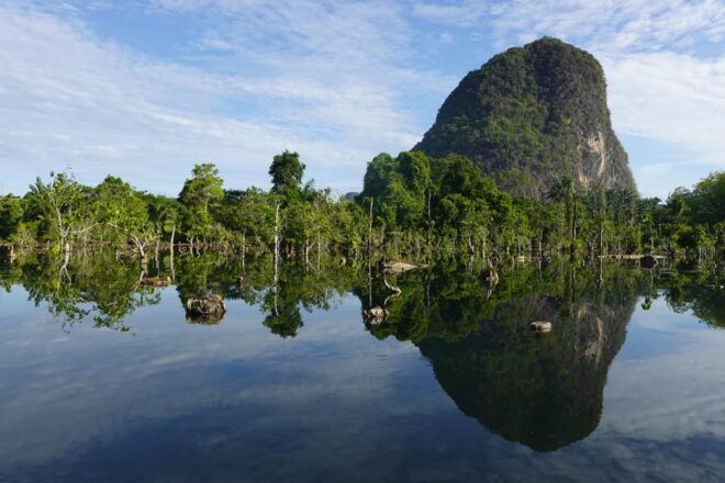 Krabi: Dragon Crest Sunrise Hike &Klong Root Kayak Adventure - Participant Eligibility and Restrictions