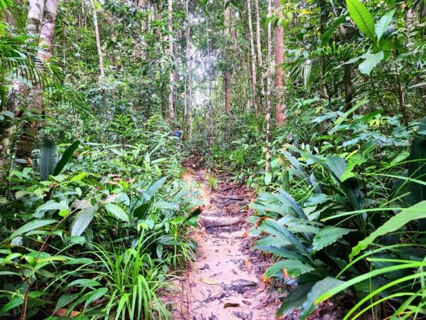 Krabi: Dragon Crest Sunrise Hike &Klong Root Kayak Adventure - Recommended Gear and Supplies