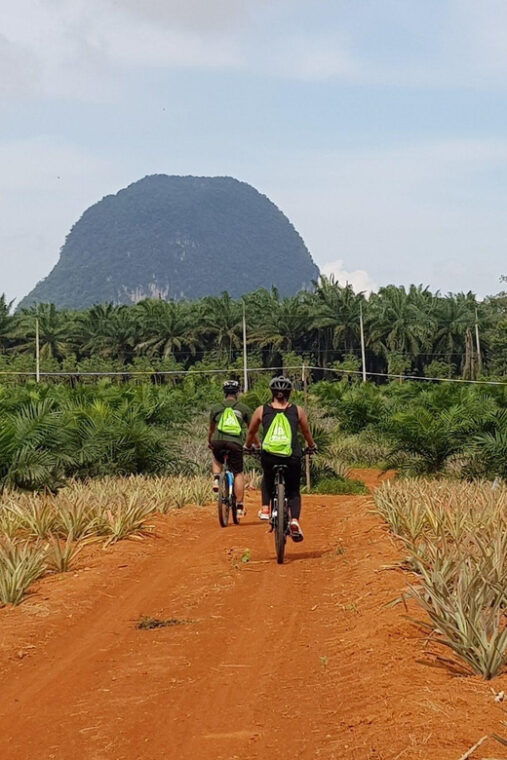 Krabi: Eco-Cycling Tour With Nature, Culture, and Fun - Biking Experience and Environment