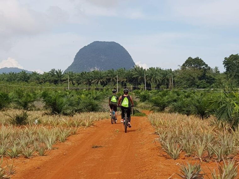 Krabi: Eco-Cycling Tour With Nature, Culture, and Fun - Included Amenities