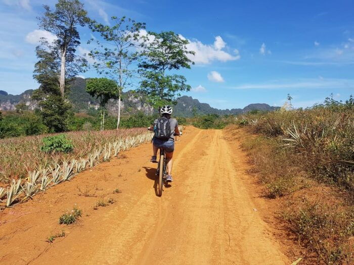 Krabi: Eco-Cycling Tour With Nature, Culture, and Fun - Ensuring a Sustainable and Eco-Friendly Adventure