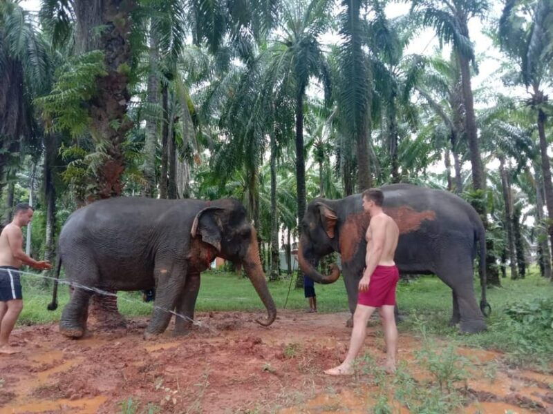 Krabi Elephant Bathing and Atv Adventure (30min/30min) - Good To Know