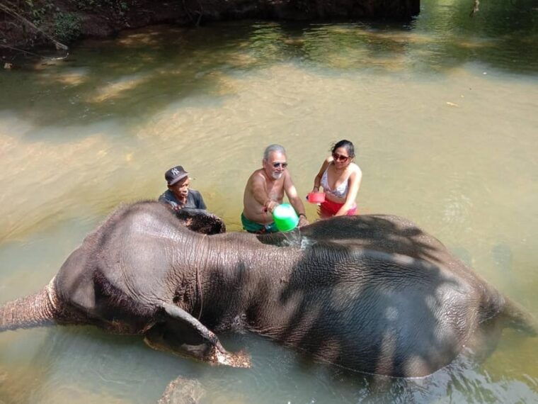 Krabi Elephant Bathing and Atv Adventure (30min/30min) - Pickup and Transfer Options