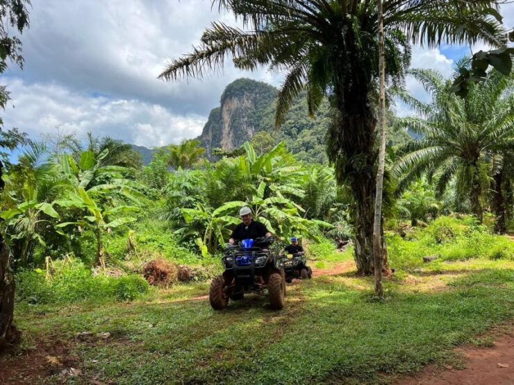Krabi: Elephant Bathing and Huay Tho Waterfall Day Trip - Activity Details