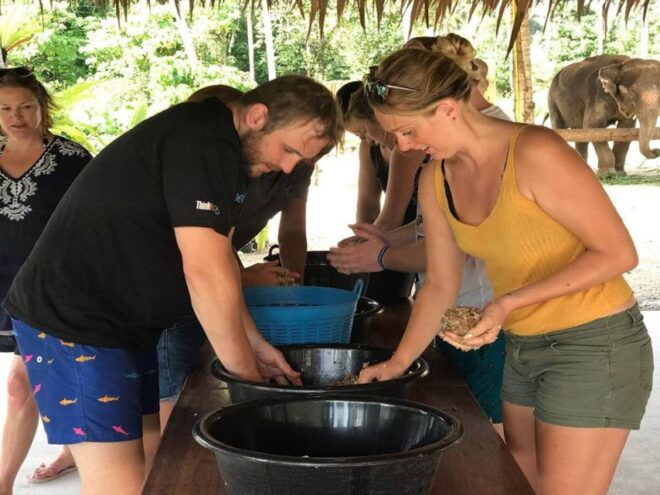 Krabi: Elephant Bathing & ATV Adventure Combo - Customer Reviews for Elephant Bathing & ATV Adventure Combo