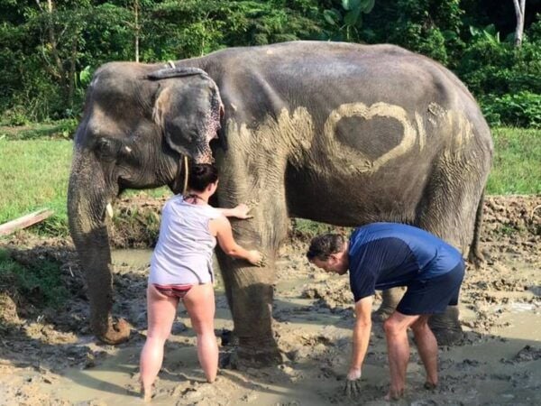 Krabi: Elephant Bathing & ATV Adventure Combo - Common Questions