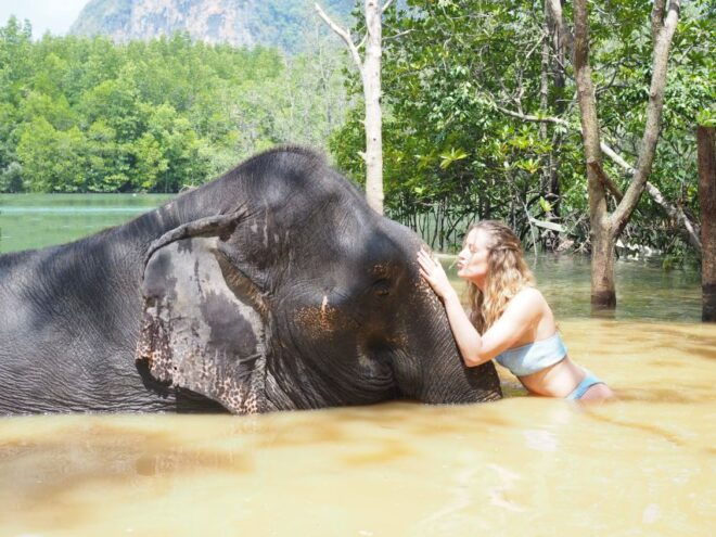 Krabi: Elephant Bathing Session at Krabi Elephant Shelter - Specific Reviews