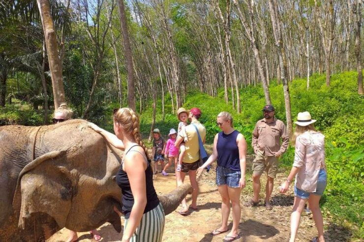 Krabi: Elephant Care House & 7-Level Huay Tho Waterfall Trip - Elephant Care Experience