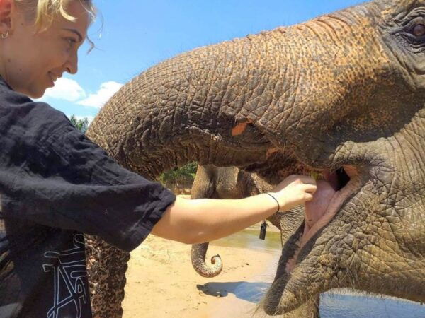 Krabi: Elephant Care House & 7-Level Huay Tho Waterfall Trip - Common Questions