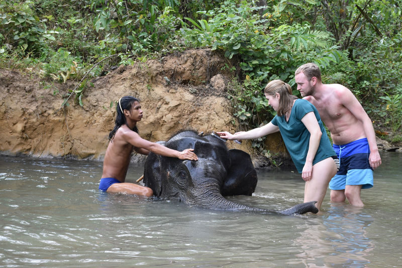 Krabi Elephant Care House with Huay Tho Waterfall - Mud, Washing, and Feeding Time