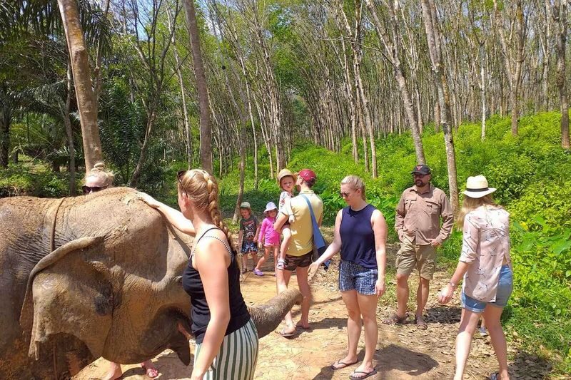 Krabi Elephant Care House with Tiger Cave Temple - Who should choose this tour?