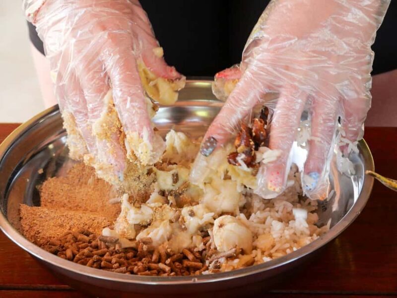 Krabi: Elephant Cook & Feeding Visit with Workshop - A Complete Look at the Krabi Elephant Cook & Feeding Tour