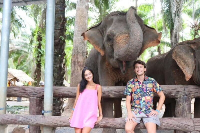 Krabi: Elephant Feeding Program with Food Preparation - FAQs