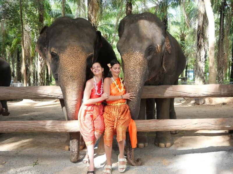 Krabi: Elephant Feeding Program with Traditional Thai Dress - What Makes This Tour Stand Out?