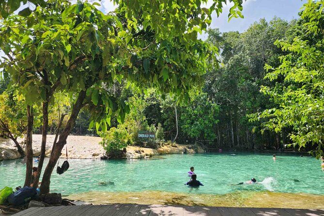 Krabi Elephant Sanctuary and Emerald Pool Adventure - The Itinerary Breakdown: From Rainforest to Rescued Elephants  