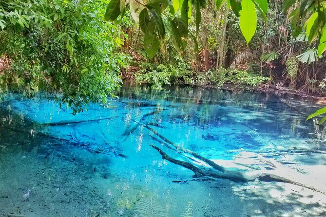 Krabi Elephant Sanctuary and Emerald Pool Adventure - Who Will Love This Tour?  