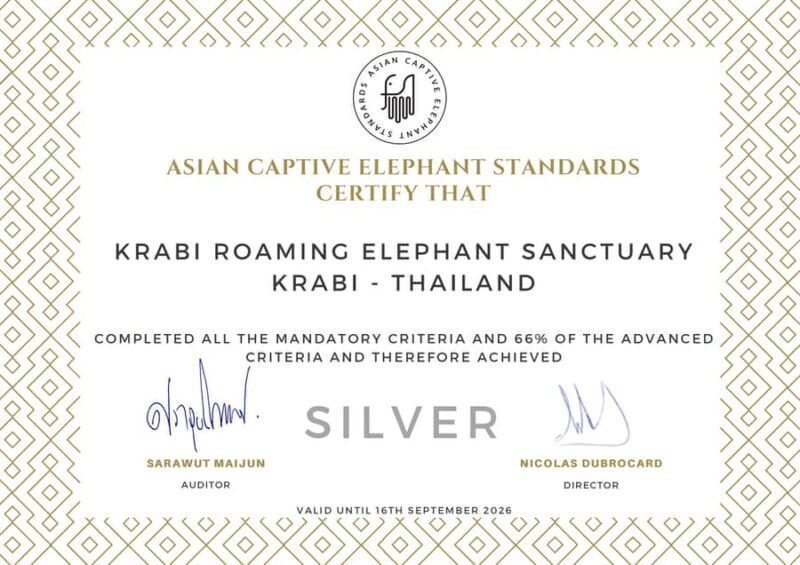 Krabi: Elephant Sanctuary Tour - Feeding & Painting Activity - Why This Experience Is Worth It