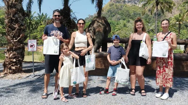 Krabi: Elephant Sanctuary Tour - Feeding & Painting Activity - A Closer Look at the Krabi Elephant Sanctuary Experience