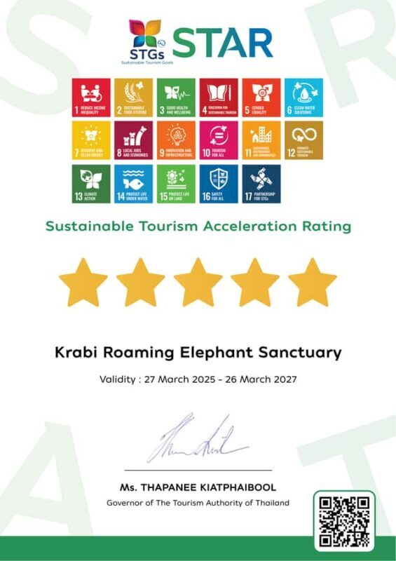 Krabi: Elephant Sanctuary Tour - Feeding & Painting Activity - Final Thoughts