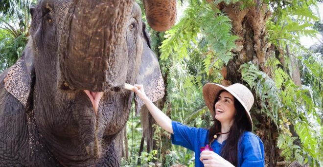 Krabi: Elephant Shelter and Khaothong Hills (Private Tour) - Itinerary Overview