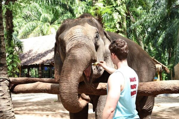Krabi: Elephant Shelter and Khaothong Hills (Private Tour) - Prohibited Items