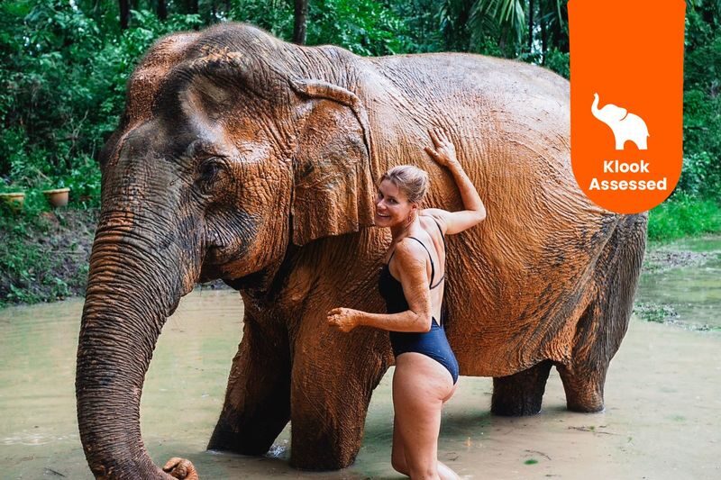 Krabi Elephant Shelter Experience - At a glance