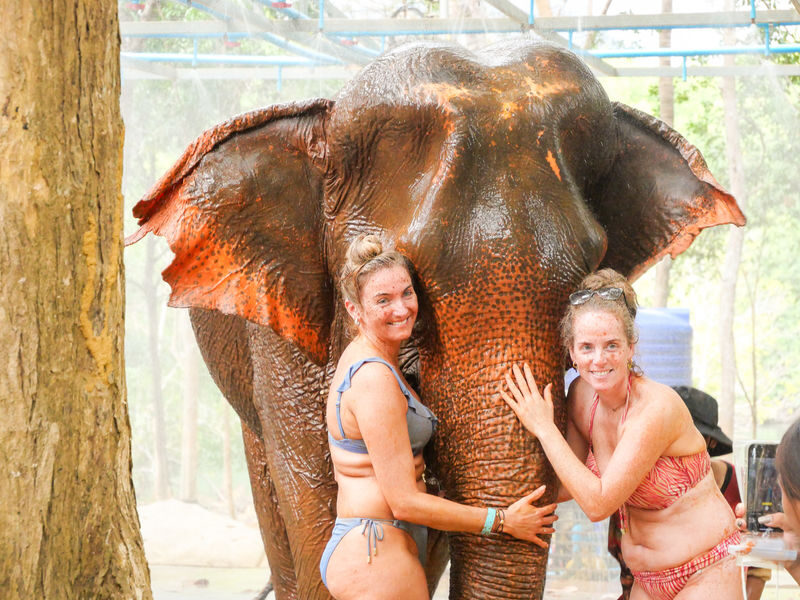 Krabi Elephant Shelter Experience - Choose the program that fits your idea of an elephant visit