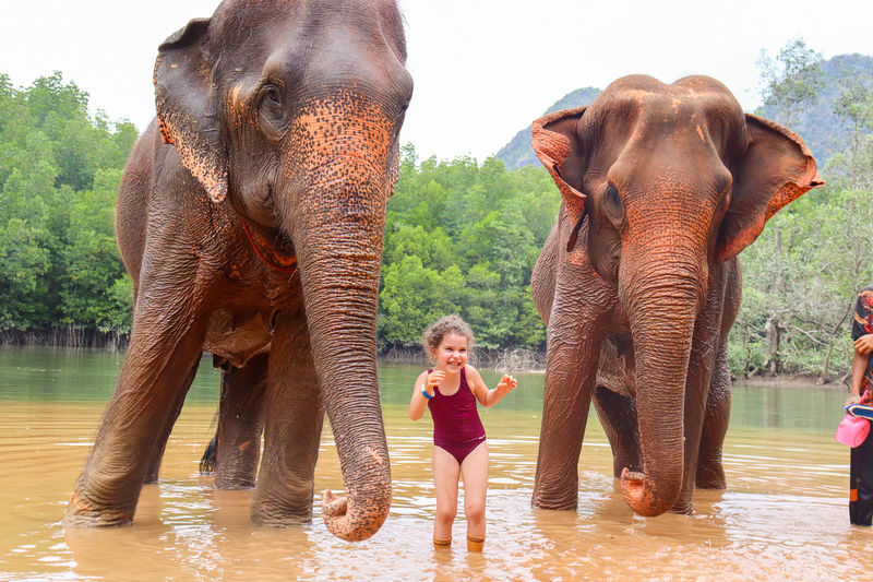 Krabi Elephant Shelter Experience - Feeding, cooking and the pleasure of a simple task