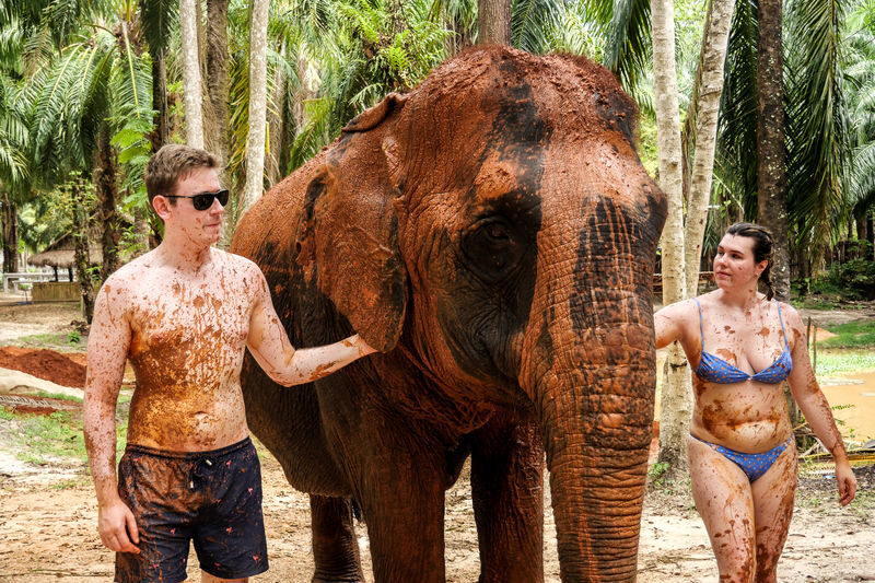 Krabi Elephant Shelter Experience - Is the price worth it?
