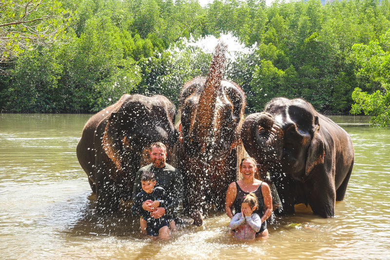 Krabi Elephant Shelter Experience - Practical details before you book