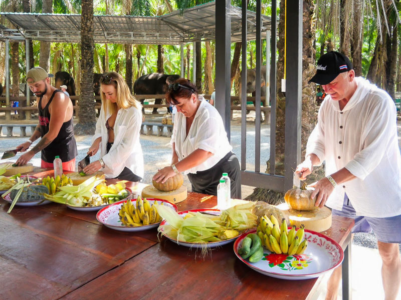 Krabi Elephant Shelter Experience - Should you book Krabi Elephant Shelter?