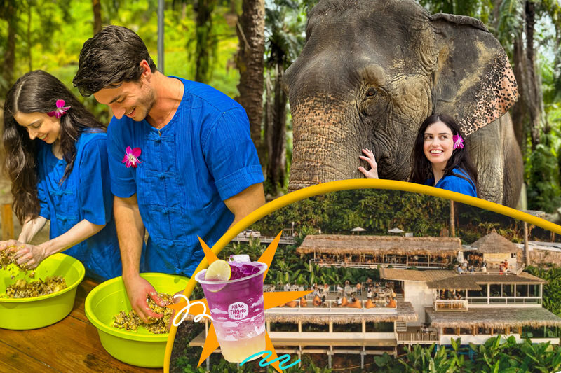 Krabi: Elephant Shelter + Khao Thong Hills with Private Transfer - At a glance