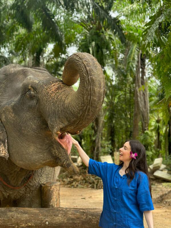 Krabi: Elephant Shelter + Khao Thong Hills with Private Transfer - An afternoon built around two different sides of Krabi