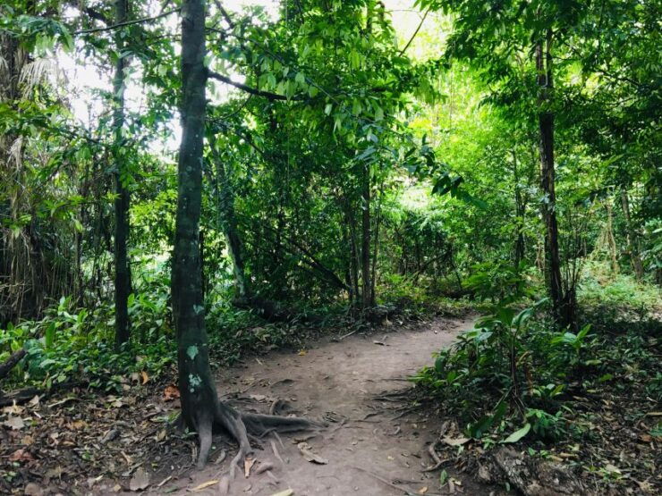 Krabi: Emerald Pool and Hot Springs Waterfall Half-Day Trip - Activity Details