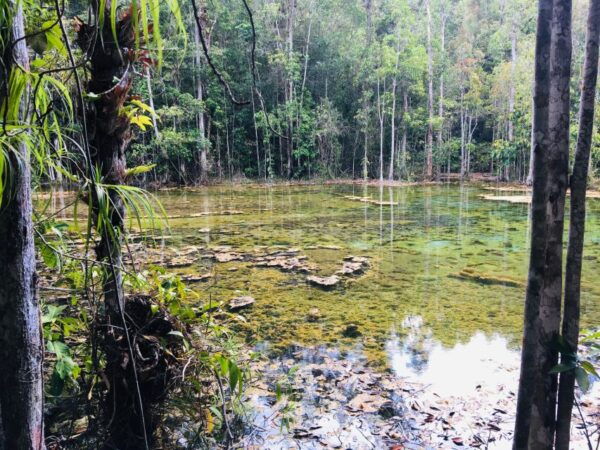 Krabi: Emerald Pool and Hot Springs Waterfall Half-Day Trip - Common Questions