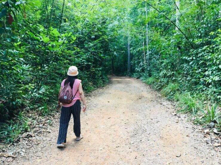 Krabi: Emerald Pool & Hot Spring Waterfall With ATV Riding - Activity Details