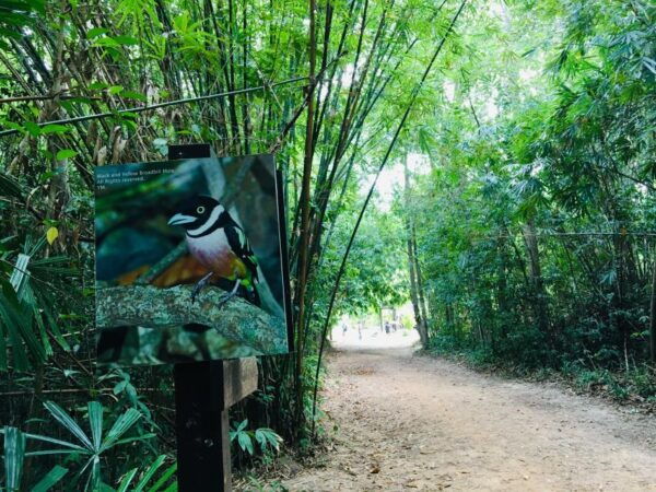 Krabi: Emerald Pool & Hot Spring Waterfall With ATV Riding - Common Questions