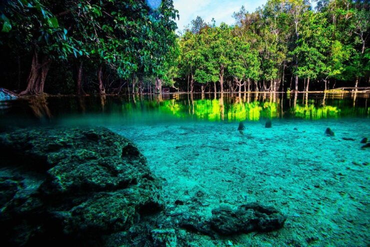 Krabi: Emerald Pool & Hot Spring Waterfall With Kayaking - Activity Details and Features